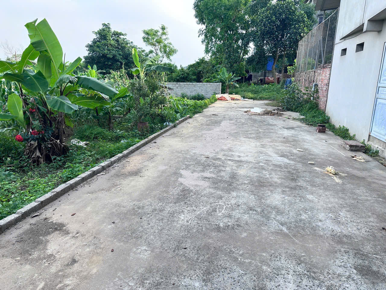 CHÍNH CHỦ BÁN LÔ ĐẤT 124M TẠI ĐÔNG SƠN-CHƯƠNG MỸ-HÀ NỘI - Ảnh chính
