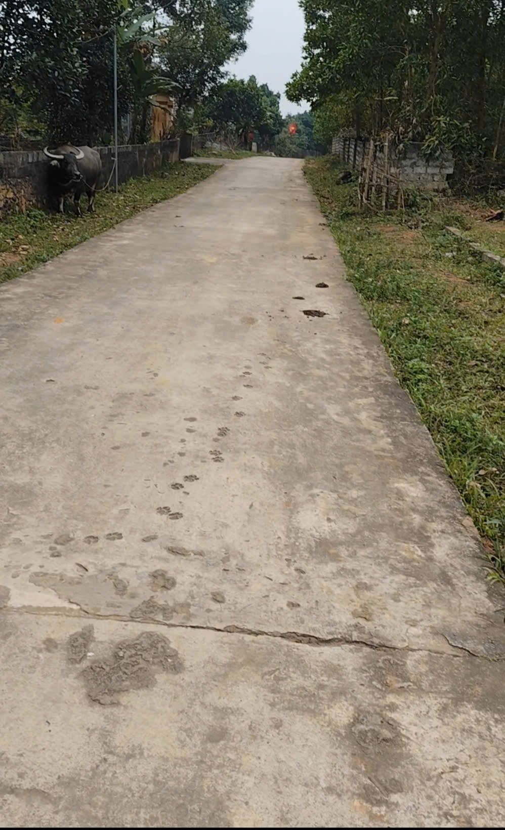 GIÁ TỐT - CHÍNH CHỦ Cần Bán Nhanh Đất Thổ Cư Tại Xã Nghi Văn, Nghi Lộc, Nghệ An - Ảnh 1