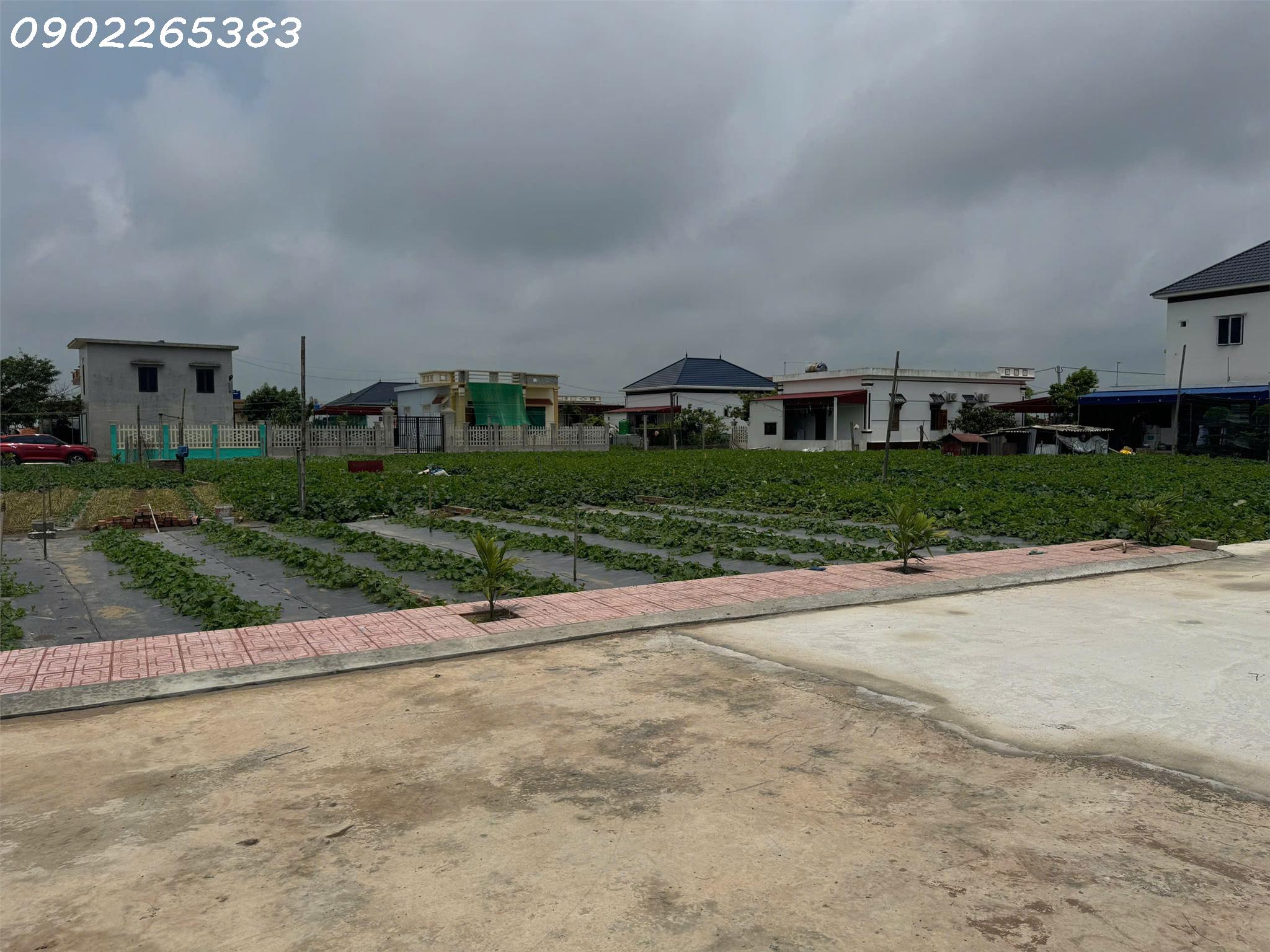 Bán gấp 2 lô đất nền 89m2 và 91m2 tại Xã Giao Phong Giao Thủy  Nam Định  giá chỉ nhỉnh 2 tỷ - Ảnh 4