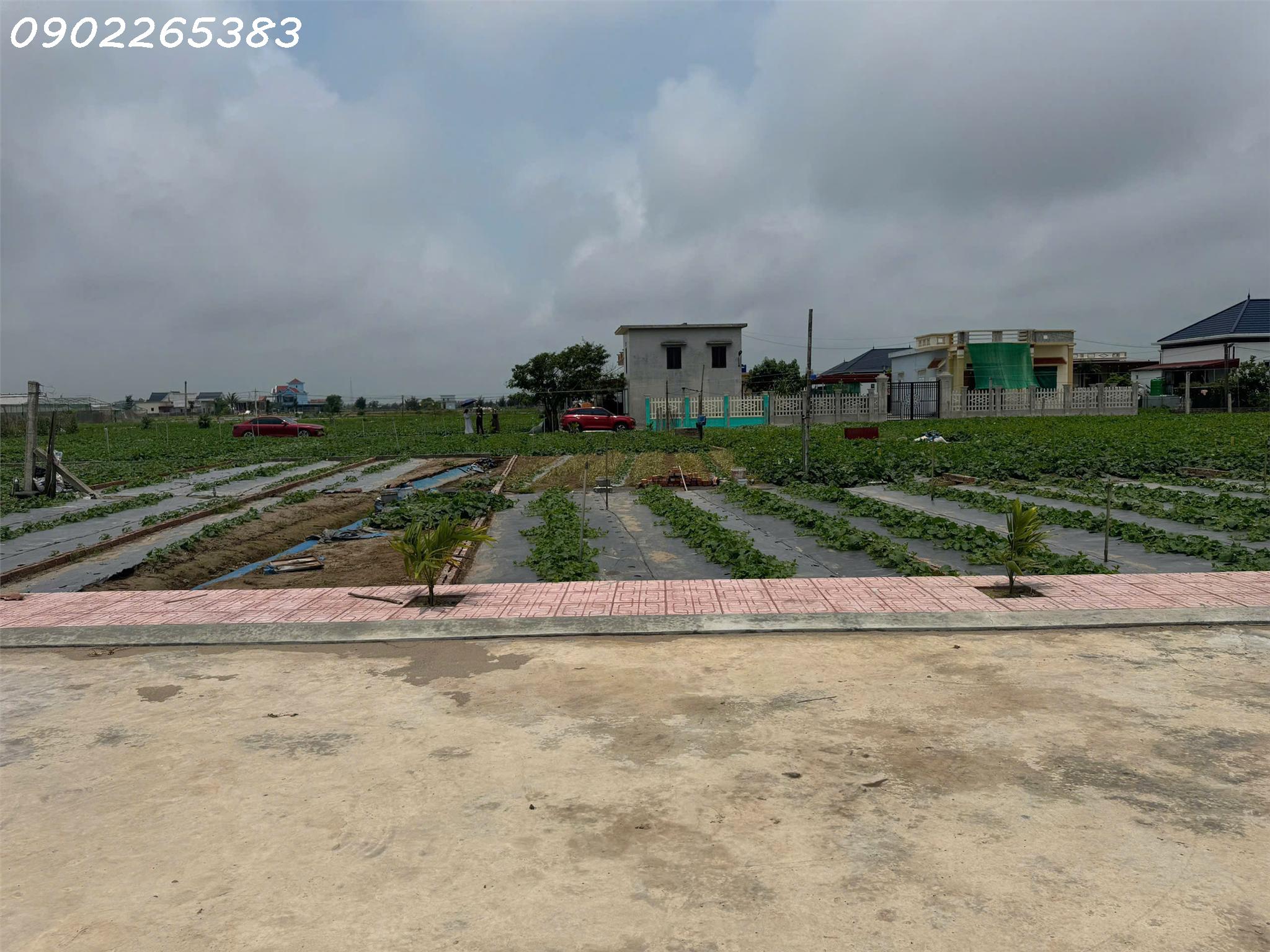 Bán gấp 2 lô đất nền 89m2 và 91m2 tại Xã Giao Phong Giao Thủy  Nam Định  giá chỉ nhỉnh 2 tỷ - Ảnh 3