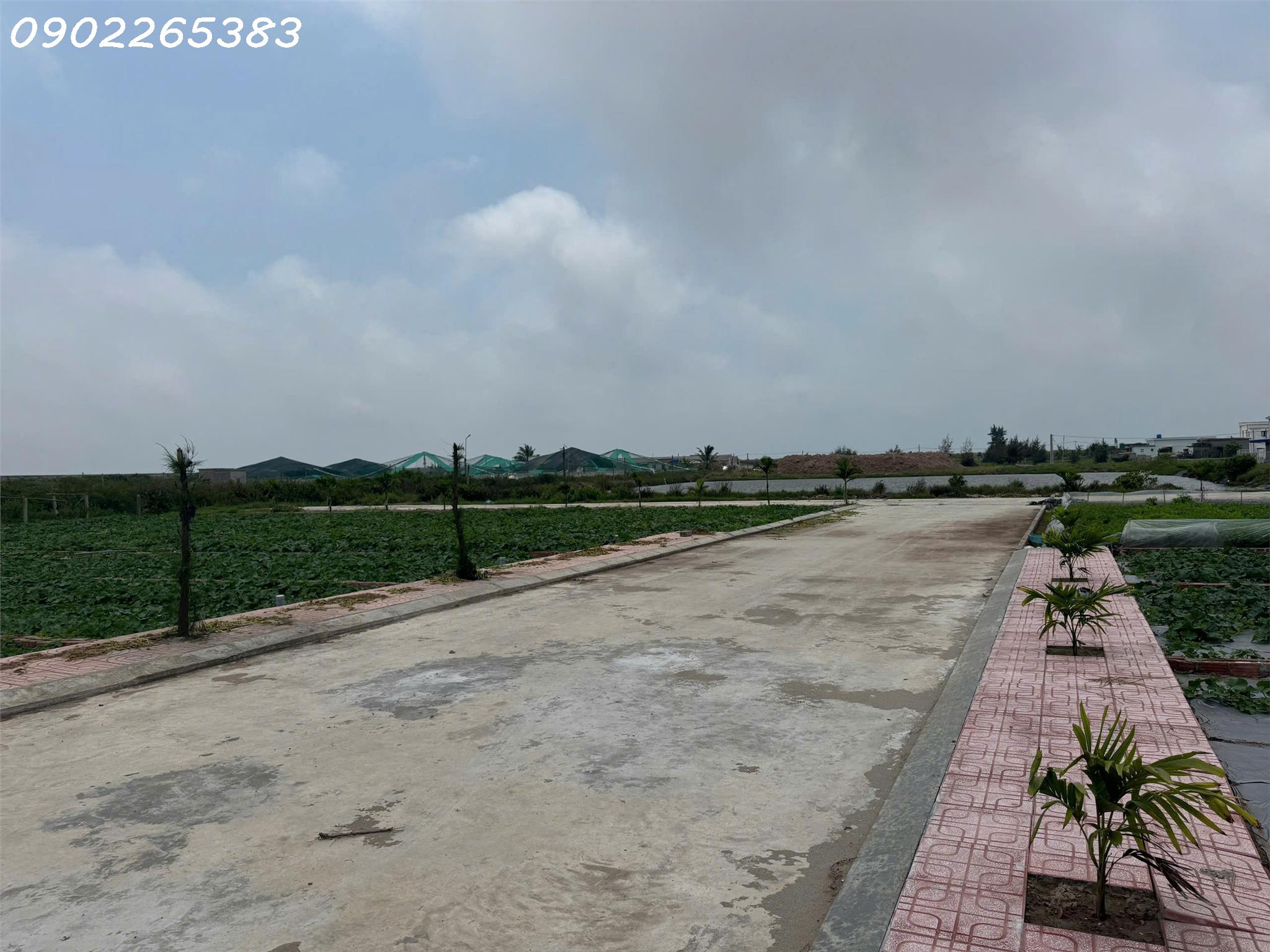 Bán gấp 2 lô đất nền 89m2 và 91m2 tại Xã Giao Phong Giao Thủy  Nam Định  giá chỉ nhỉnh 2 tỷ - Ảnh 1