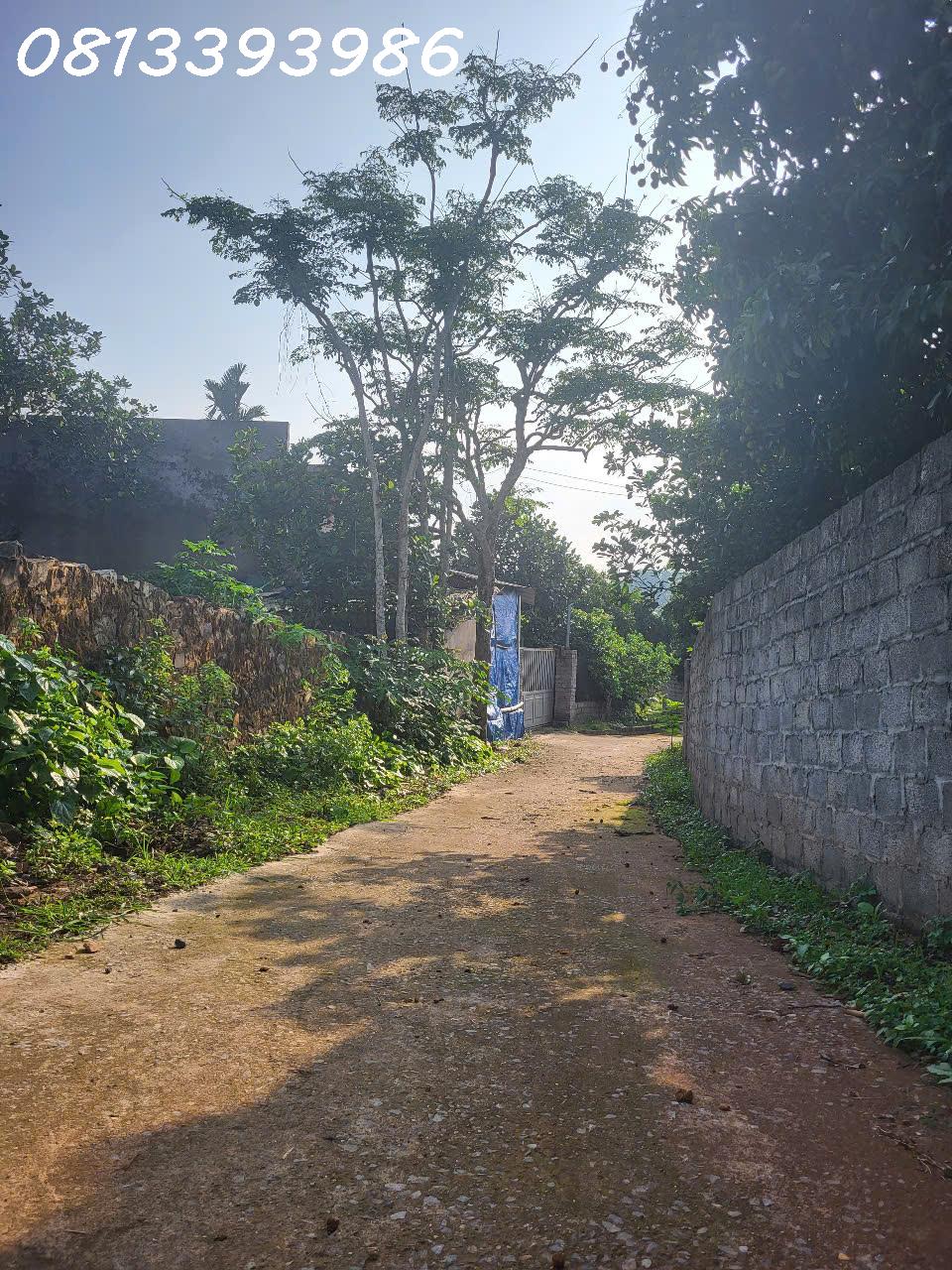 💥 Săn đất đón đầu khu công nghiệp – Giá cực mềm! - Ảnh 2
