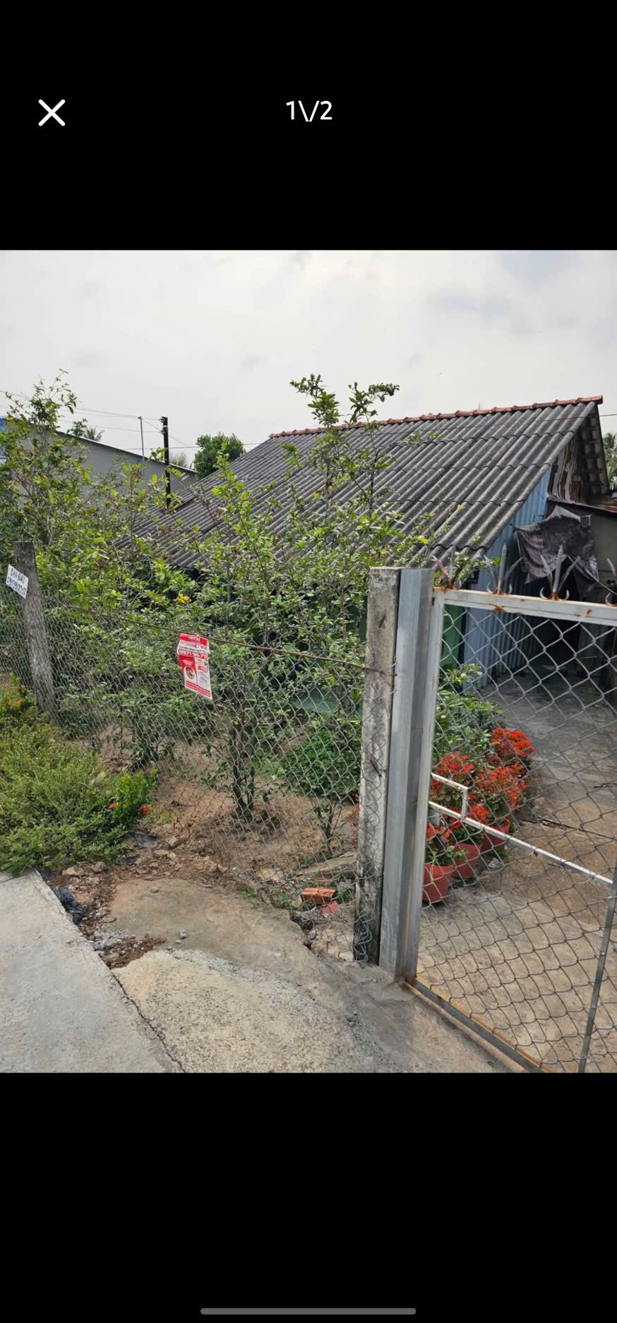 GIÁ TỐT - CHÍNH CHỦ Cần Bán Nhanh 500m2 Đất Vườn Tân Hạnh, Huyện Long Hồ, Vĩnh Long - Ảnh 1