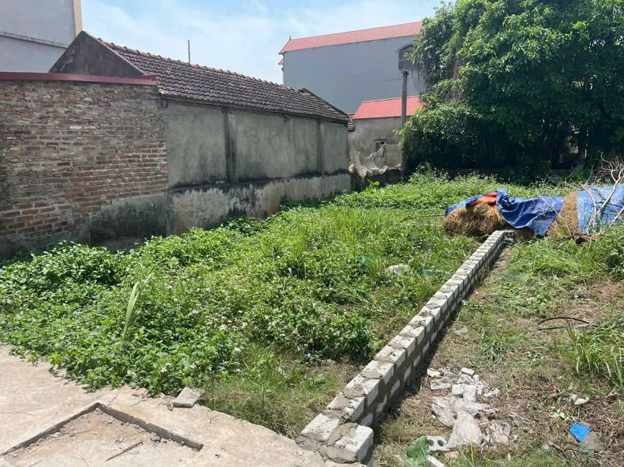 Đất lô góc, Tự Khoát, Ngũ Hiệp, Thanh Trì - Ảnh 2