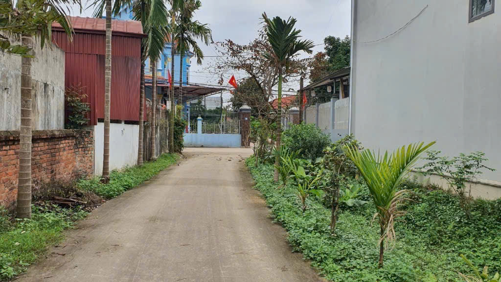 Cần bán gấp thửa đất Xuân Đồng(Tân Minh - Sóc Sơn), 230m2, giá nhỉnh 3 tỷ, ô tô vào - Ảnh chính