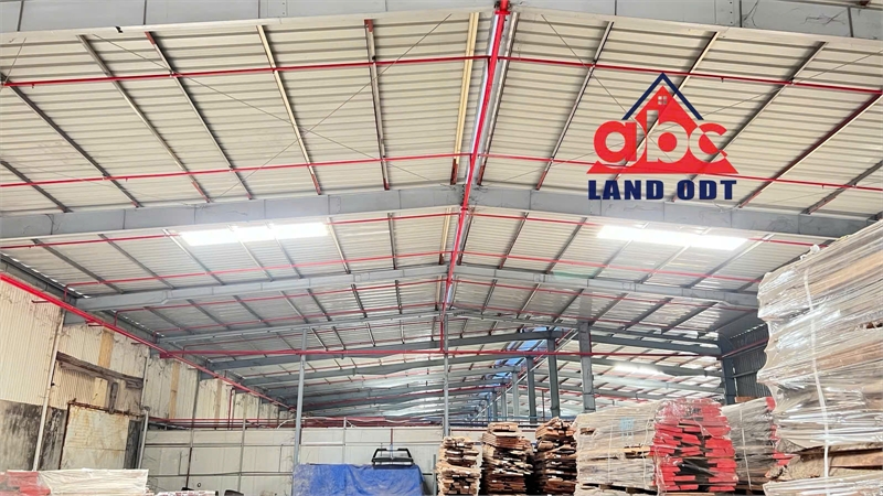 XT308 nhà xưởng kiên cố thu hút sản xuất nhiều ngành nghề công nghiệp, CNN - Ảnh chính
