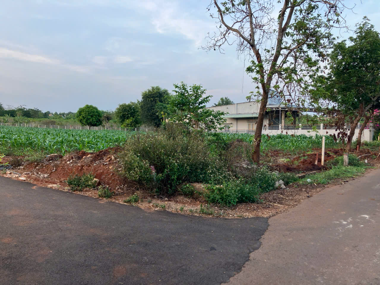 Lô góc ngã 4 tiềm năng 456m2 có 80 ONT, đường liên thông, dân cư hiện hữu giá tốt - Ảnh 4