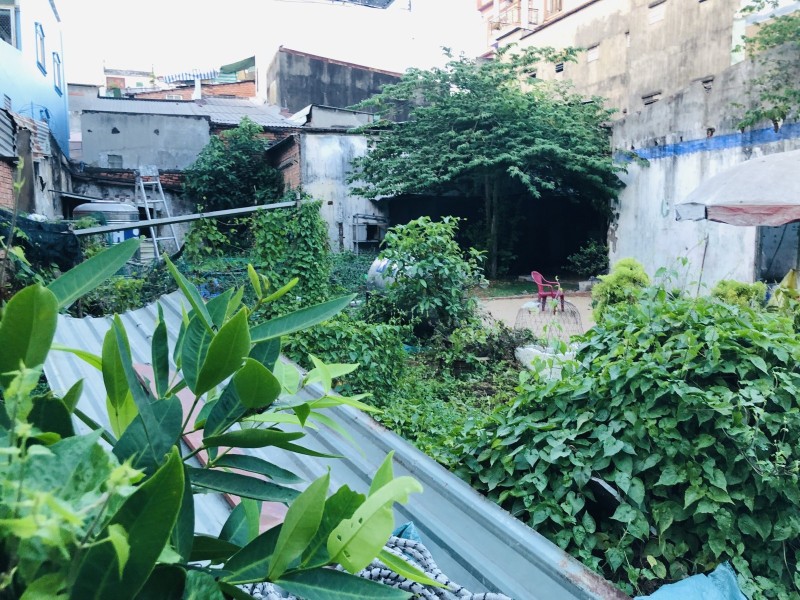 Bán đất HXH Cư xá Phú Thọ Hòa - Lạc Long Quân, Quận 11, 16x27m, tiện xây, 36 tỷ. - Ảnh chính