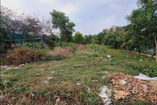 Chính Chủ Bán Đất Mặt Tiền đường 28B, Chợ Gạo, Tiền Giang. - Ảnh 2