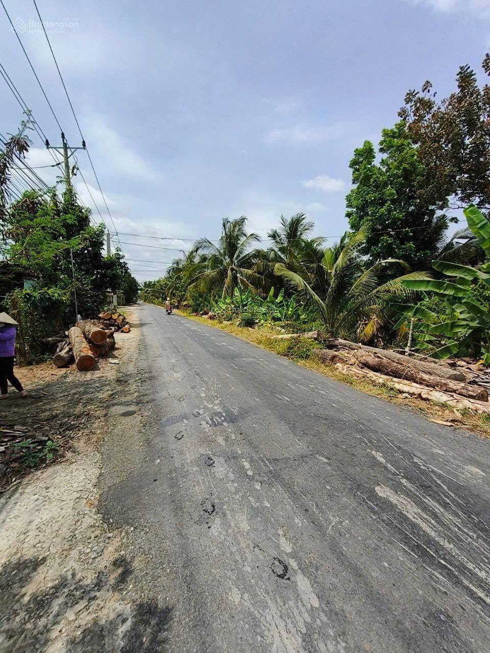Bán Đất Chợ Gạo, Tiền Giang Diện Tích Lớn, Giá Tốt. - Ảnh 1
