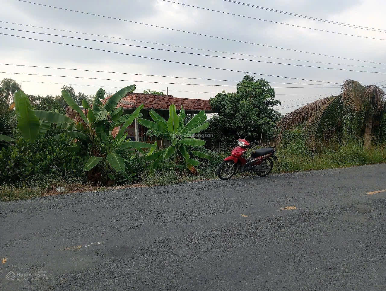 Chính Chủ Bán Gấp Đất Mặt Tiền Tỉnh Lộ 865 Tân Phước, Tiền Giang. - Ảnh 1