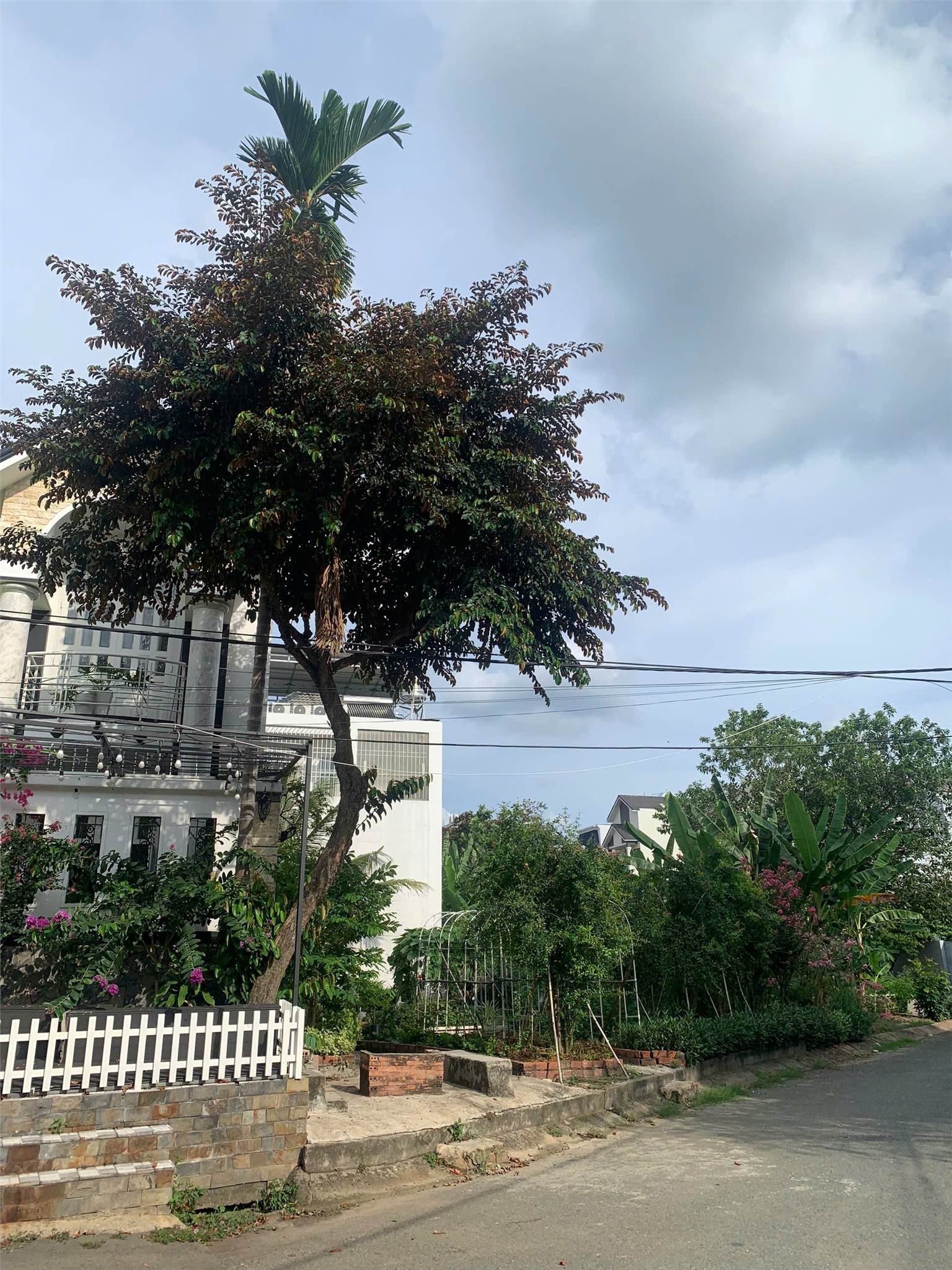 ĐẤT VỊ TRÍ ĐẸP - GIÁ ƯU ĐÃI - CẦN BÁN NHANH ĐẤT TẠI ấp 5, Phong Phú, Bình Chánh, HCM - Ảnh 2