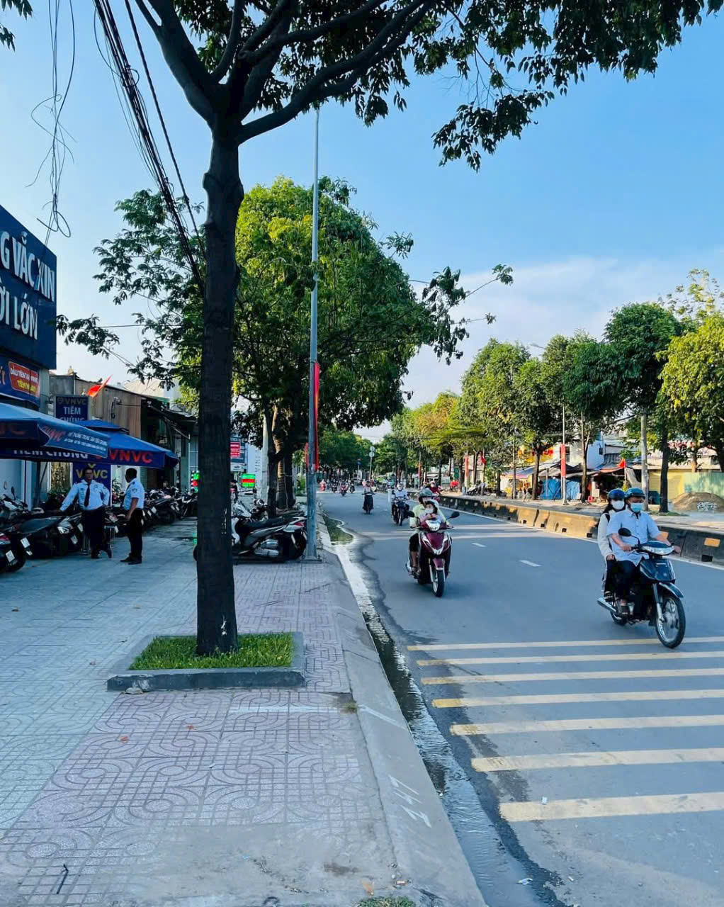 CC GỬI – ĐẤT MẶT TIỀN LÊ THỊ RIÊNG, QUẬN 12 – 222M² THỔ CƯ – GIÁ 19 TỶ - Ảnh chính