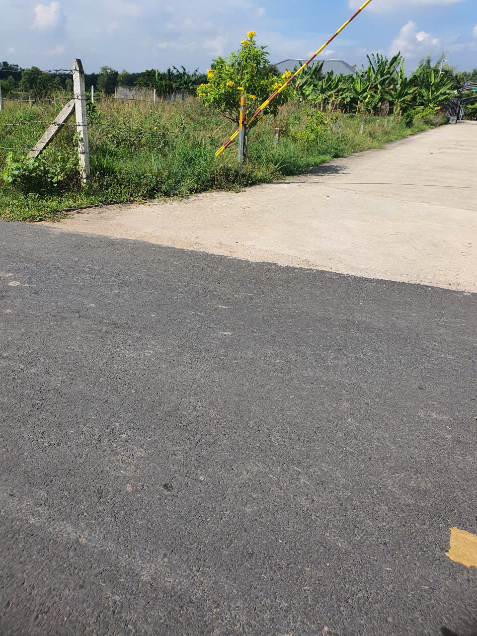 Chính Chủ Bán Lô Đất tại An Điền 045, Phường  An Điền, Thành Phố Bến Cát, Tỉnh Bình Dương. - Ảnh chính