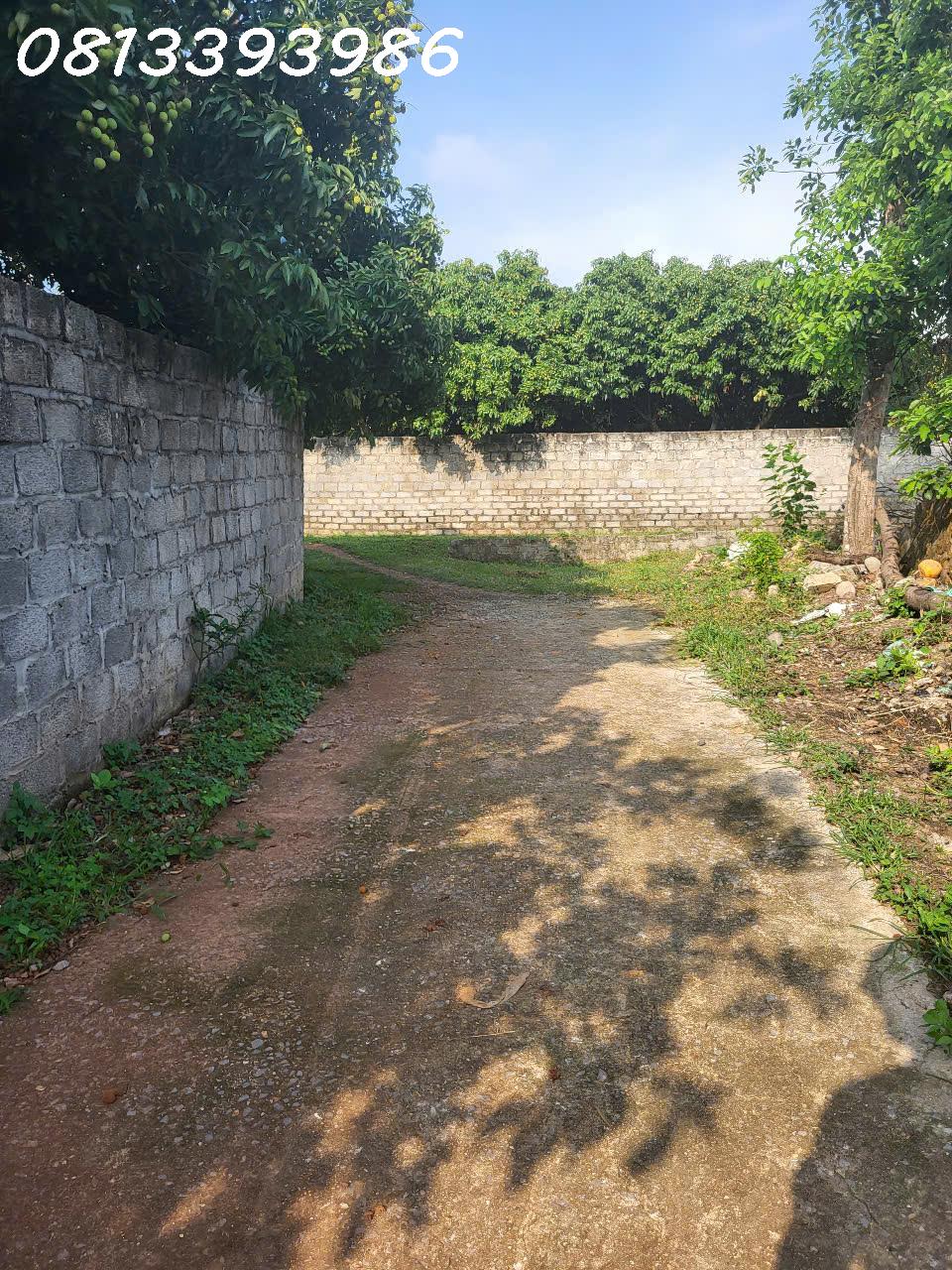 🏘️ Mặt tiền đẹp – Giá hiếm có – Gần KCN lớn! - Ảnh 1