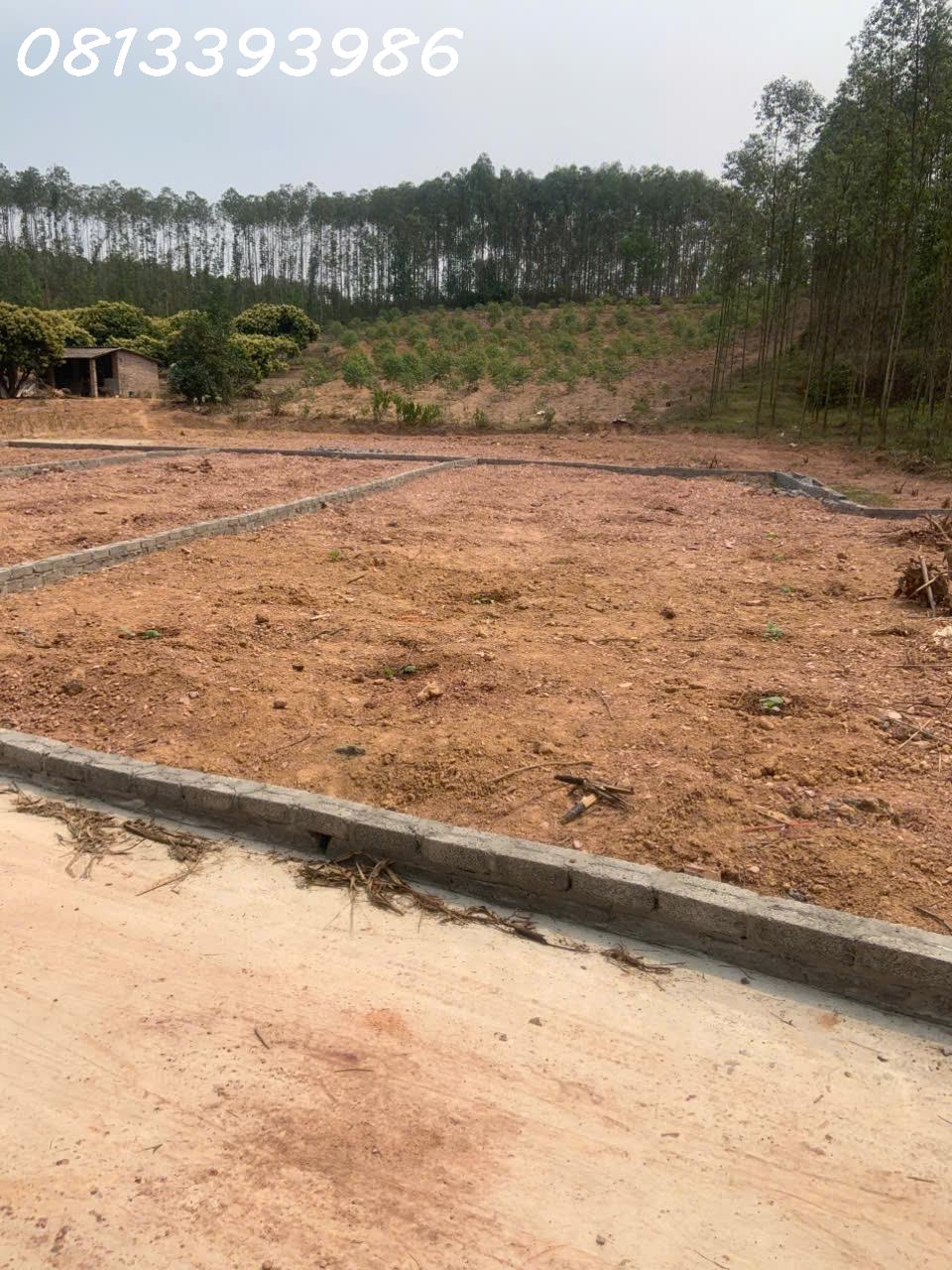 🌟 “180m² mặt tiền rộng, vị trí vàng – chớp cơ hội sinh lời chỉ trong một quyết định!” - Ảnh 4