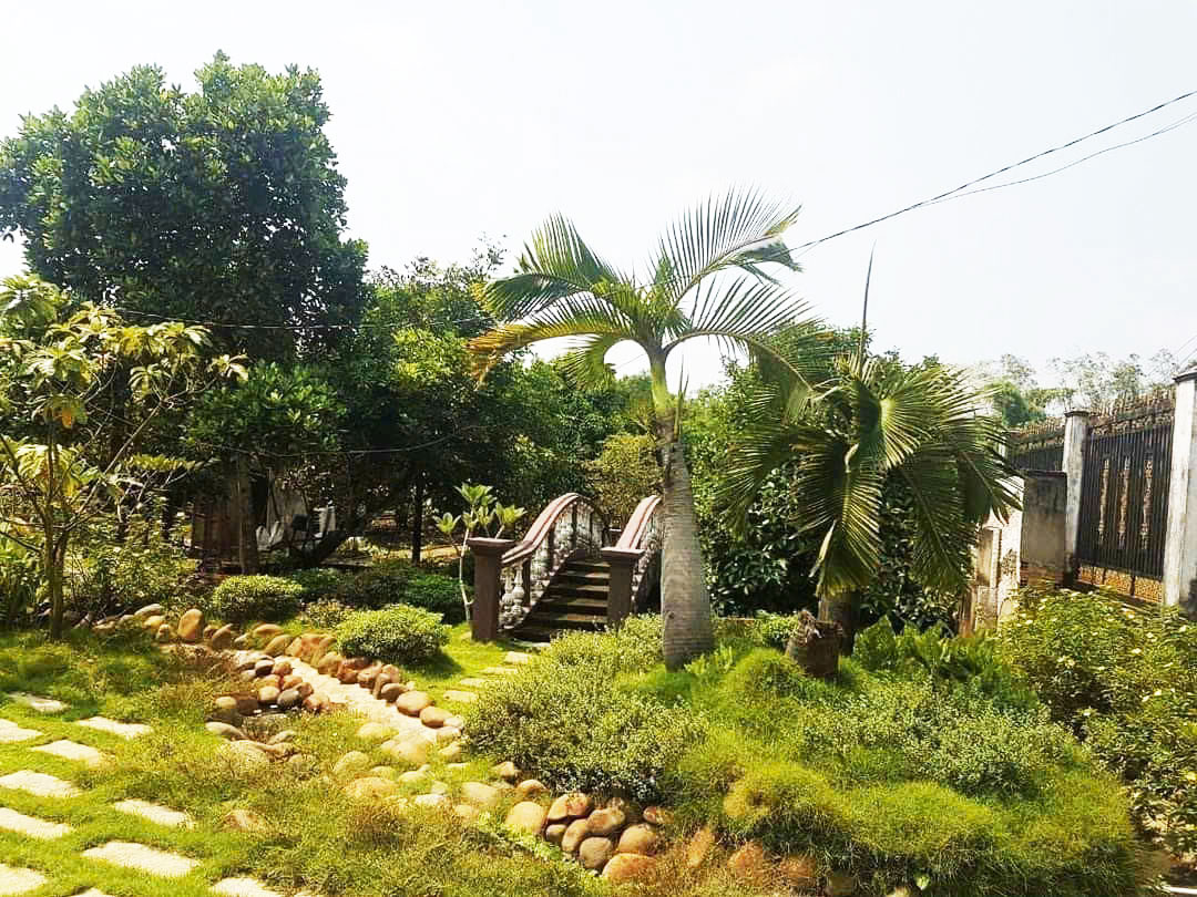 Nhà vườn 2 mặt tiền view sông 1/ Tỉnh Lộ 8 - 3382m2 - 55x58 - 250m2 - xã Bình Mỹ - Củ Chi - Ảnh 3