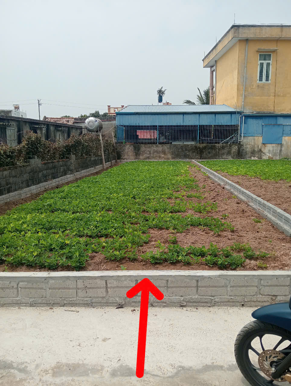 Chính chủ cần bán Nhanh Lô Đất tại Tổ Dân Phố 35-  Đào Cam Mộc – Uy Nỗ - Đông Anh. - Ảnh chính