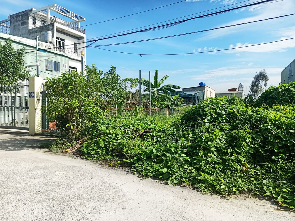 Bán đất đường 155 - 549m2 - 11x55 - 100m2 thổ cư - xã Bình Mỹ - Củ Chi - Ảnh 2