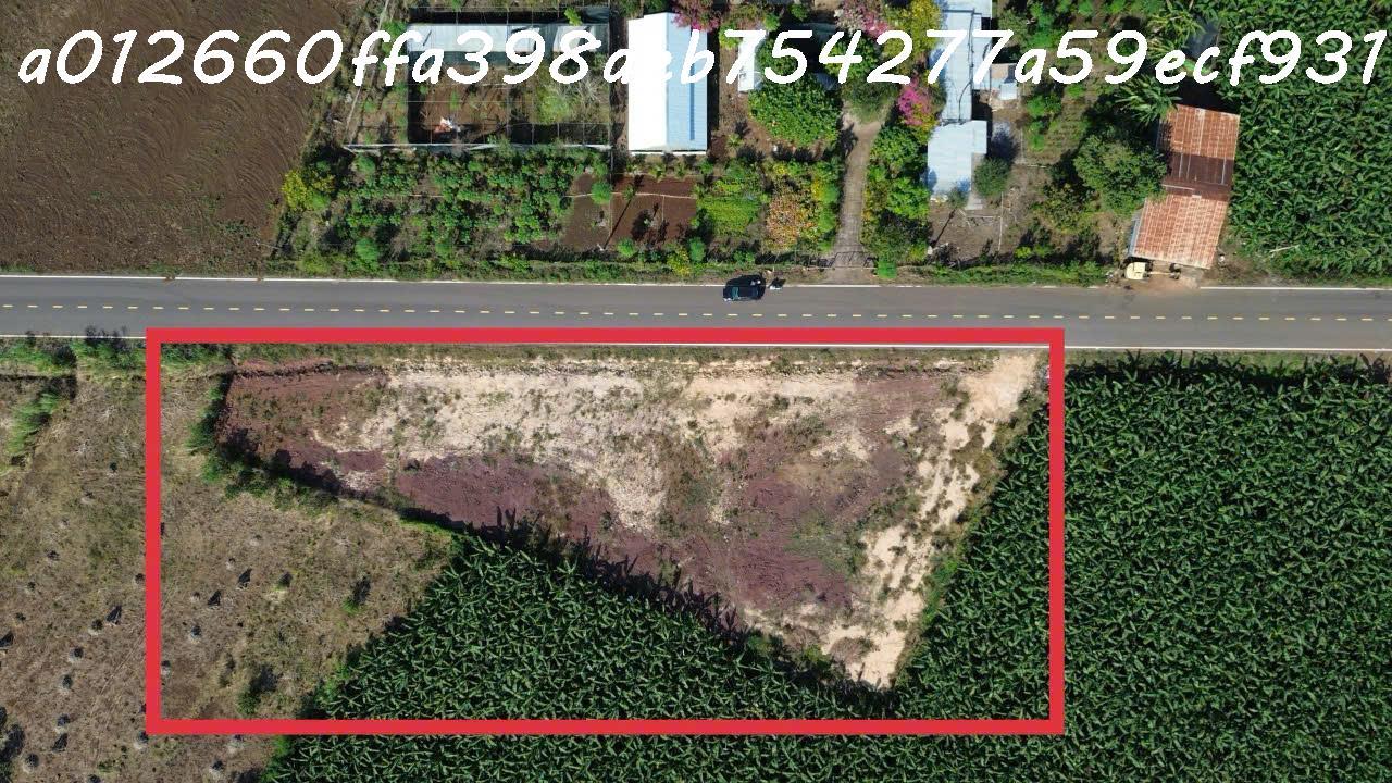 Bán đất 111m2 tại xã Long Tân, huyện Long Đất, bà Rịa-Vũng Tàu chỉ với 330 triệu - Ảnh chính