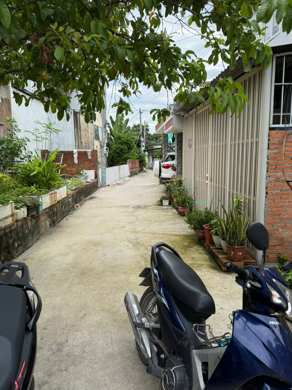BÁN NHÀ CẤP 4 NGAY TRUNG TÂM TRƯỜNG THỌ, THỦ ĐỨC. DT 70,1M2 SHR 4.9 TỶ. LH:0329456579. - Ảnh 2