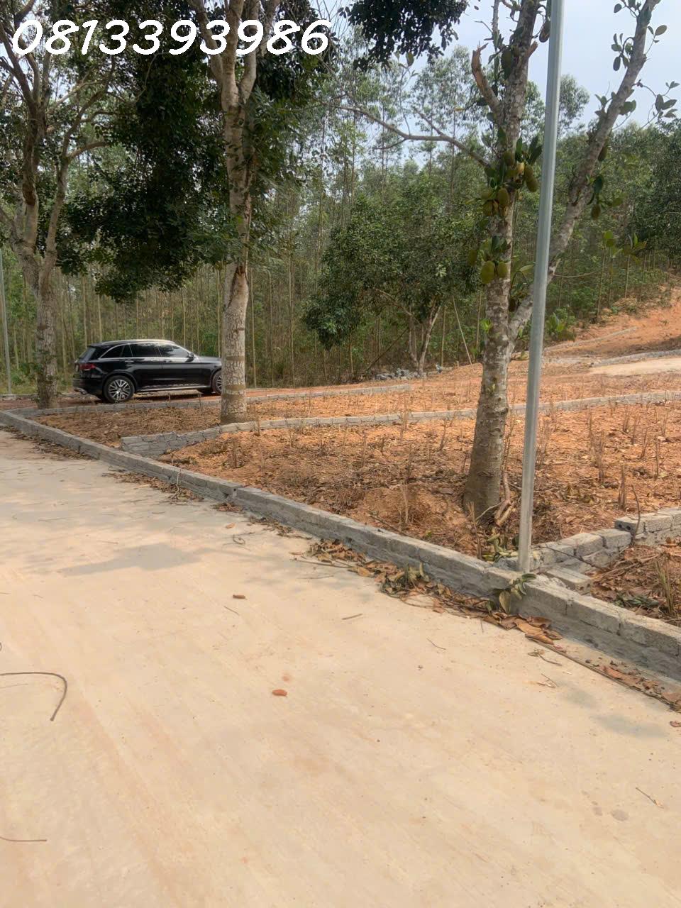 🌟 “Đất đẹp không đợi ai – vị trí kim cương chờ người hiểu giá trị!” - Ảnh 3