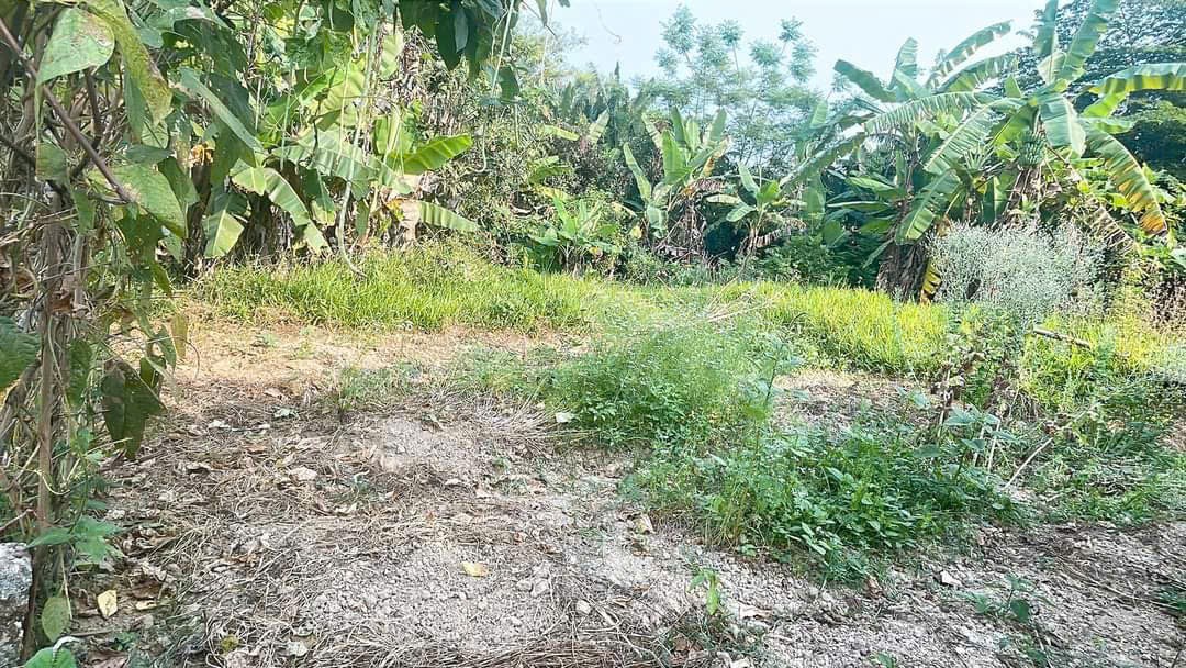 ĐẤT ĐẸP – GIÁ ĐẦU TƯ  –CẦN BÁN LÔ ĐẤT Tại Đường 605, Xã Điện Hồng, Thị xã Điện Bàn, Quảng Nam - Ảnh 3
