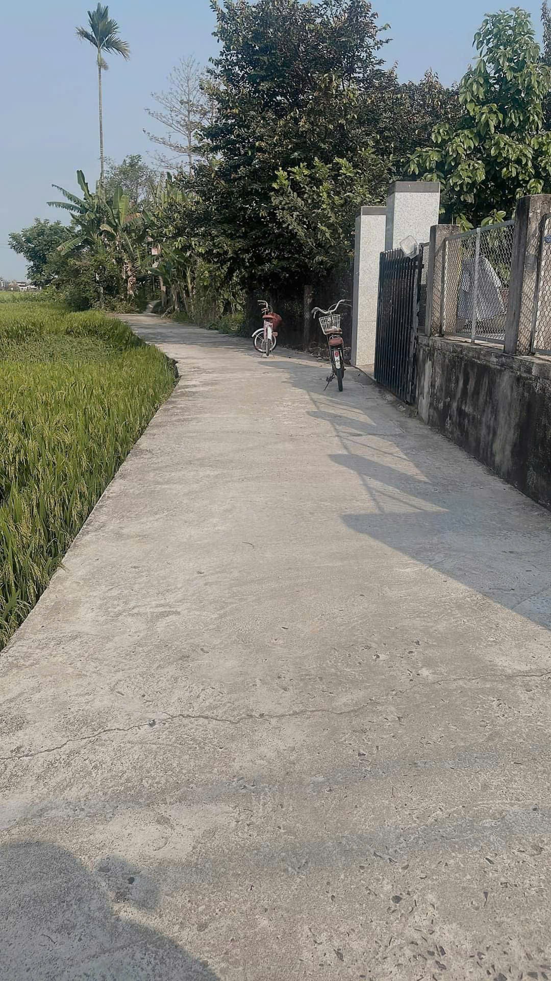 ĐẤT ĐẸP – GIÁ ĐẦU TƯ  –CẦN BÁN LÔ ĐẤT Tại Đường 605, Xã Điện Hồng, Thị xã Điện Bàn, Quảng Nam - Ảnh 4