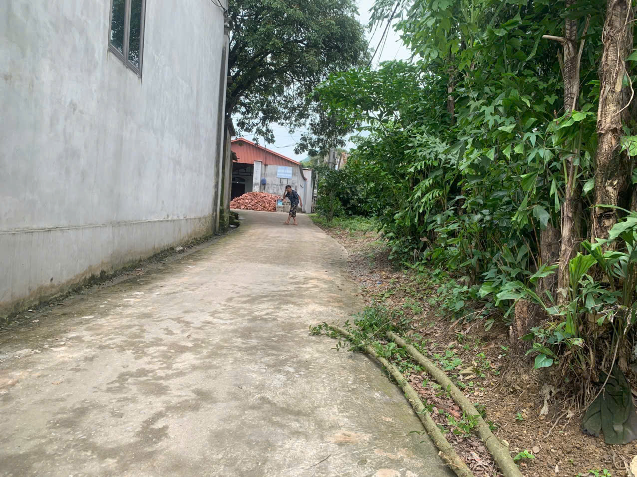 cc cần bán 791m đất thổ cư lẫn vườn giá có vài triệu /1m  đường ô tô thông - Ảnh 2