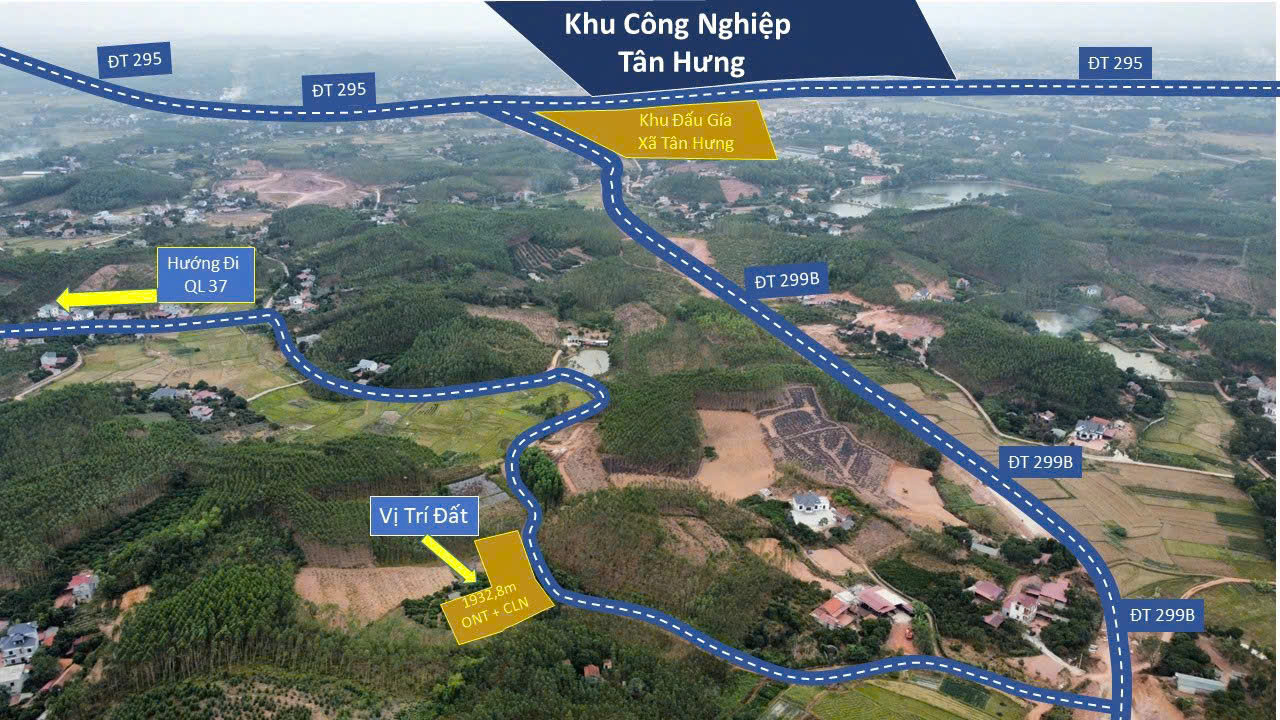 🌟 “Đầu tư hôm nay – an cư mai sau!” - Ảnh 2