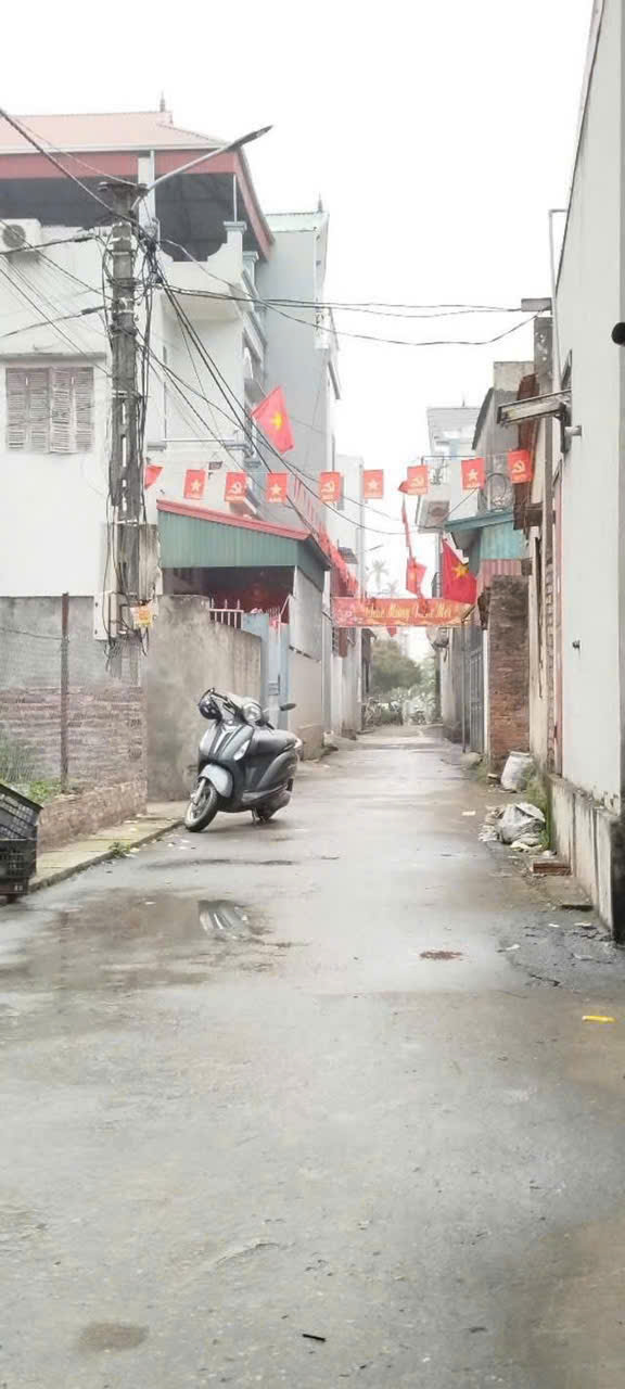 ► BÁN ĐẤT CHÍNH CHỦ - ĐÌNH TRUNG, XUÂN NỘN, ĐÔNG ANH - Ảnh 1