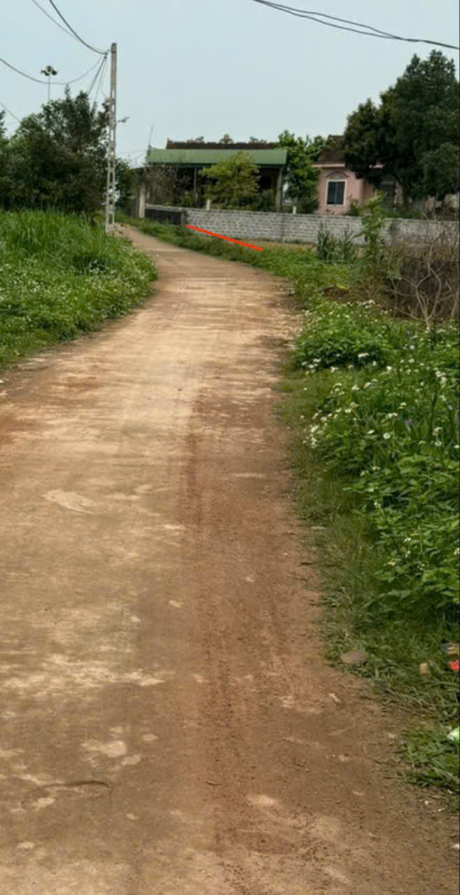 Cần bán 130m2 đất,oto 4 chỗ vào tận đất, giá rẻ bao sang tên tại Đại Sơn, Đô Lương,Nghệ An - Ảnh 1