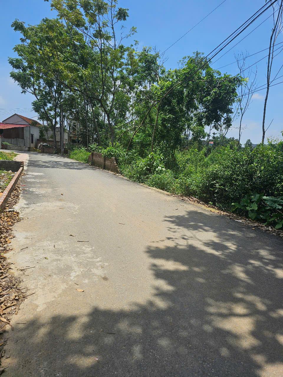 Bán đất đầu tư KD xây biệt thự Thôn 4 Phú Cát full thổ 686m giá rẻ nhỉnh 20tr - Ảnh 1