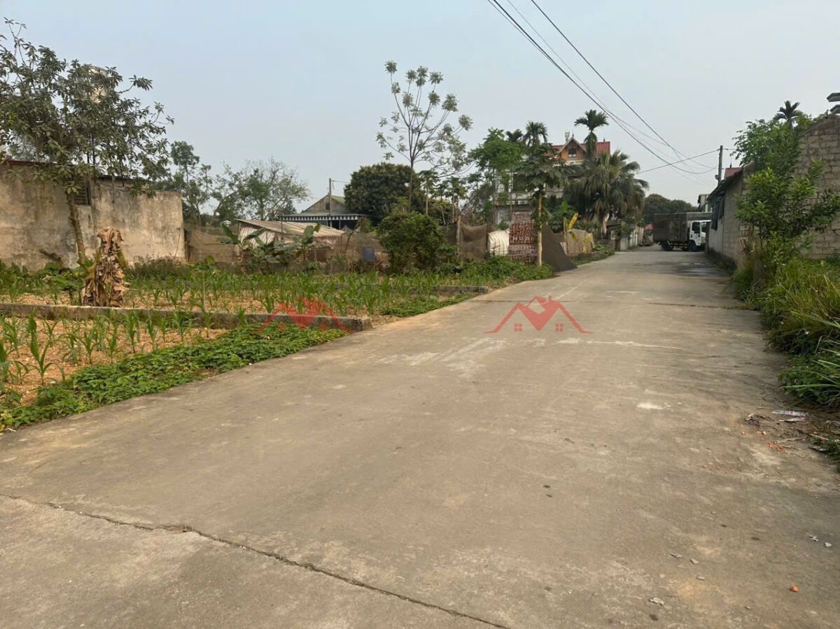 CHÍNH CHỦ BÁN LÔ ĐẤT 90M TẠI HOÀNG VĂN THỤ-CHƯƠNG MỸ-HÀ NỘI - Ảnh 2
