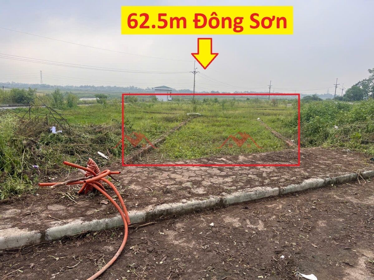 CHÍNH CHỦ BÁN LÔ ĐẤT 62,5M TẠI ĐÔNG SƠN-CHƯƠNG MỸ-HÀ NỘI - Ảnh chính
