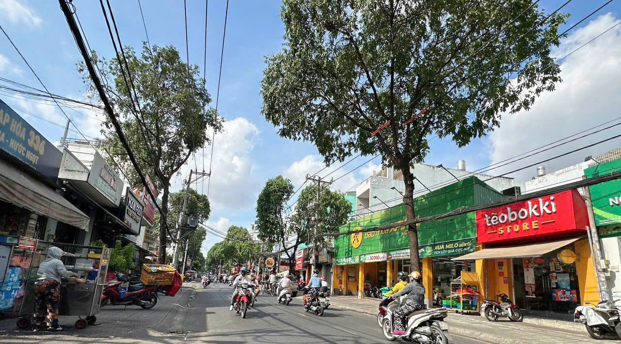 Biệt thự 4 lầu ngang HIẾM 11.5m hẻm 12m Lê Văn Thọ 230m2 tặng full NT xịn T.máy chỉ 35 tỷ. - Ảnh 4