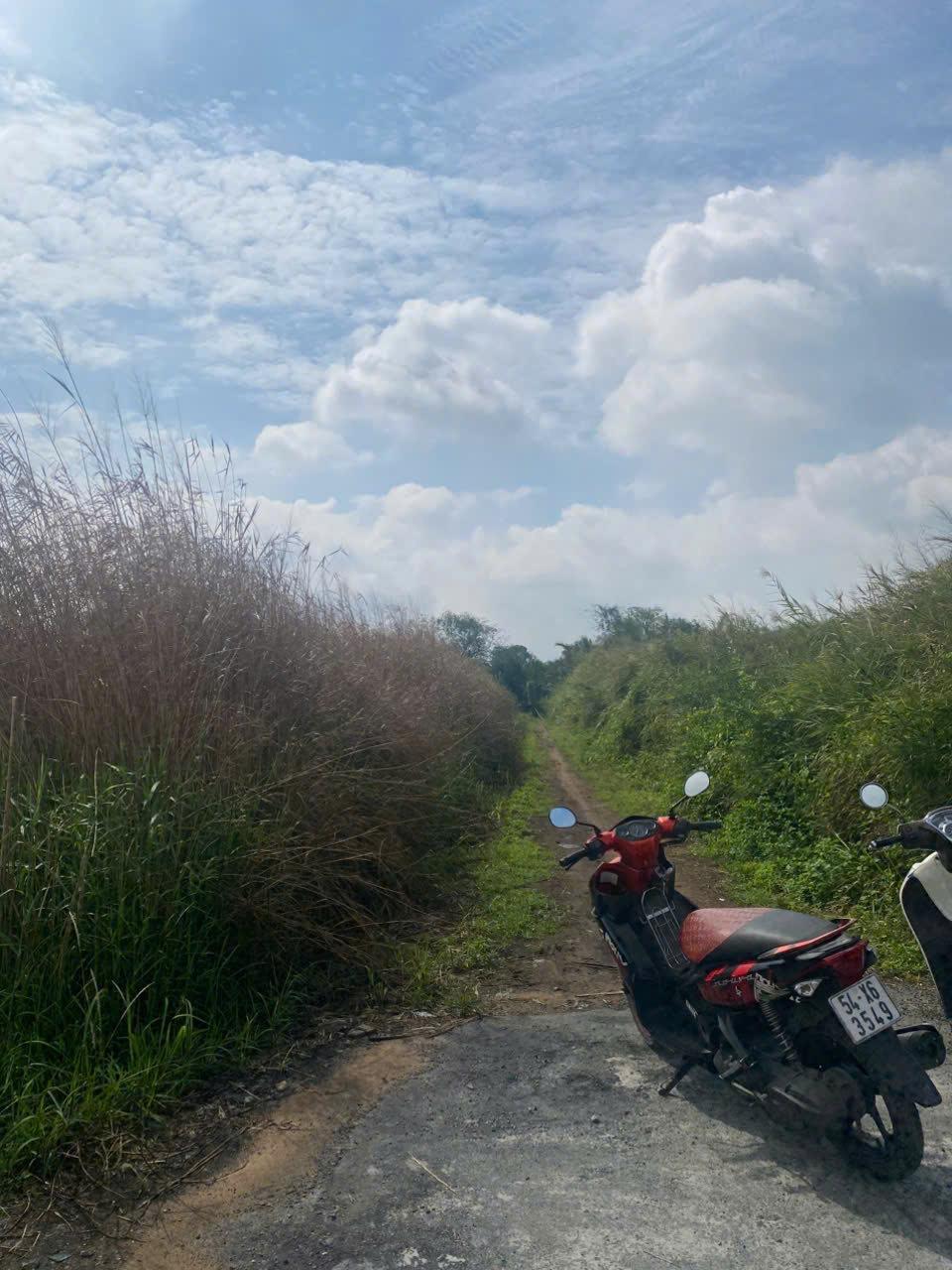 Bán Lô đất lớn tại mặt tiền sông rạch chiếc  và dg nội bộ Bưng Ông Thoàn, Phú Hữu, Q.9 TP Thủ Đức. - Ảnh 3