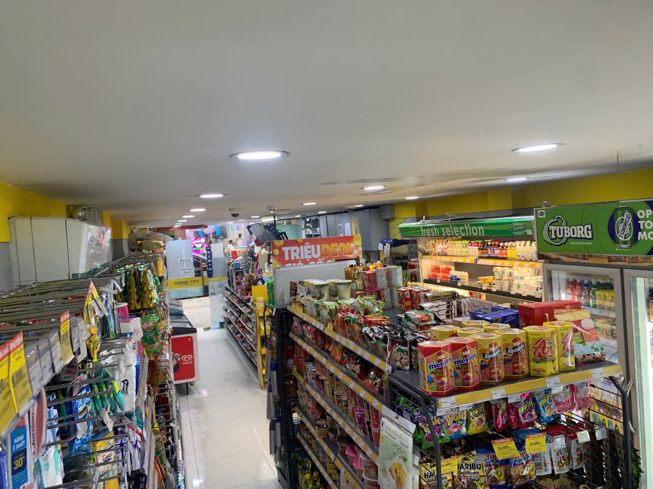 CHO THUÊ HẦM MẶT TIỀN – 307 LÝ TỰ TRỌNG, QUẬN 1 – 80m² – GIÁ TỐT THƯƠNG LƯỢNG - Ảnh 3