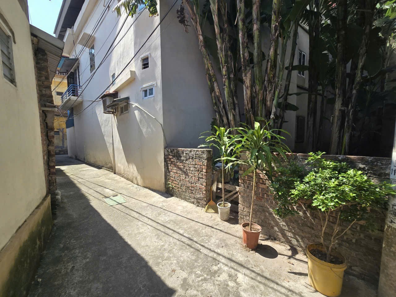 BÁN ĐẤT PHÚC LỢI – 50m² – MẶT TIỀN RỘNG – GIÁ 5 TỶ - Ảnh 2