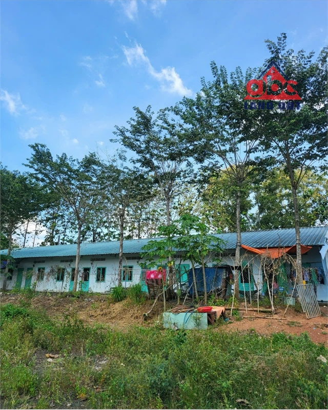 X080 nhà xưởng sản xuất cần chuyển nhượng liền. trên thửa đất rộng. đầy đủ tiện nghi - Ảnh 3
