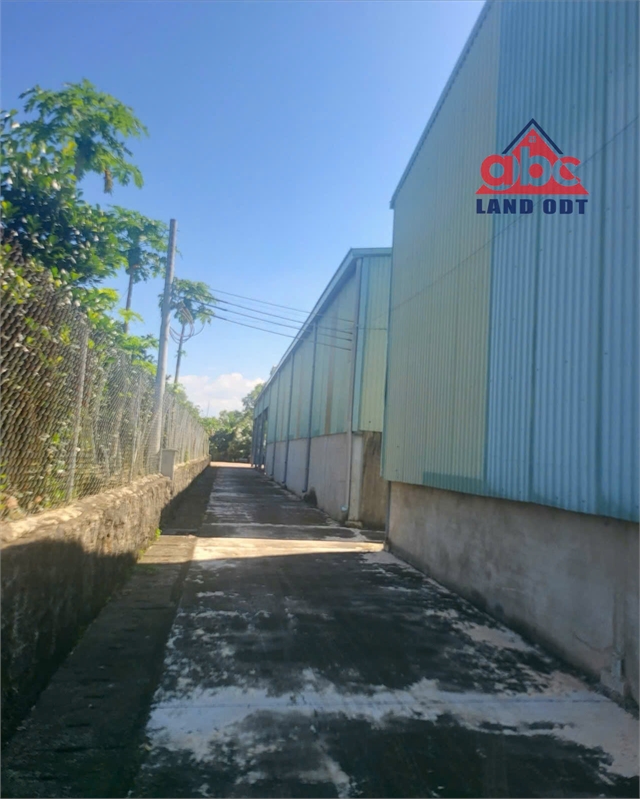 X080 chuyển nhượng nhà xưởng cá nhân sẵn sổ với giá hấp dẫn trên diện tích đất rộng lớn - Ảnh 4
