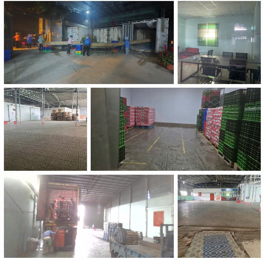 BÁN NHÀ XƯỞNG MẶT TIỀN TỈNH LỘ DT879, 2300M2 SẴN SHR CHỈ 20 TỶ. LH:0938898920 – 0938702006. - Ảnh 1