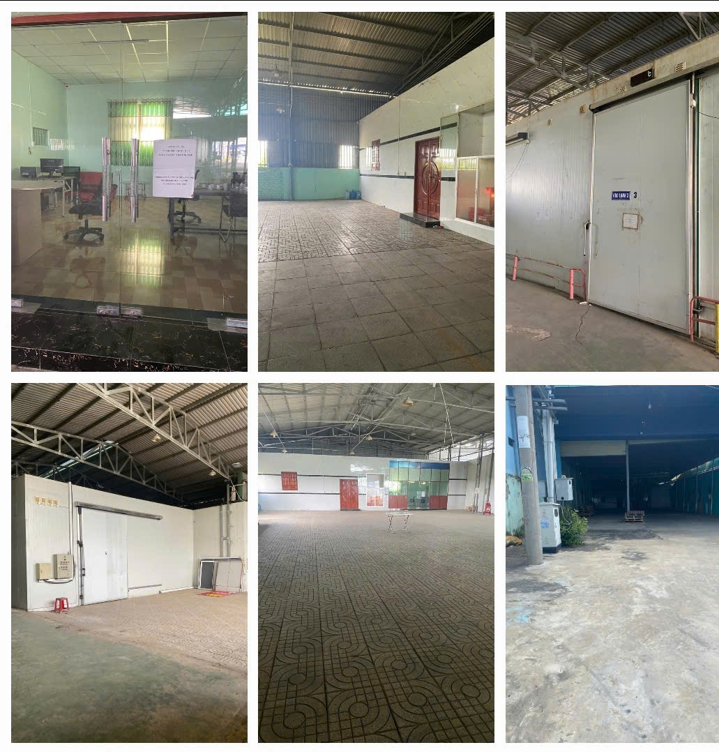 BÁN NHÀ XƯỞNG MẶT TIỀN TỈNH LỘ DT879, 2300M2 SẴN SHR CHỈ 20 TỶ. LH:0938898920 – 0938702006. - Ảnh 2