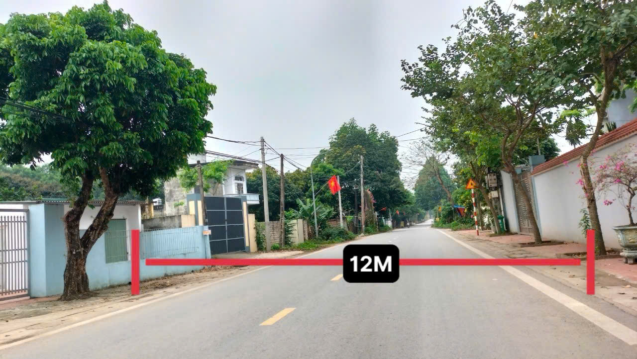 LÔ GÓC, TRỤC CHÍNH KD TỐT 374M2, CÓ 300M2 ONT - Ảnh 2