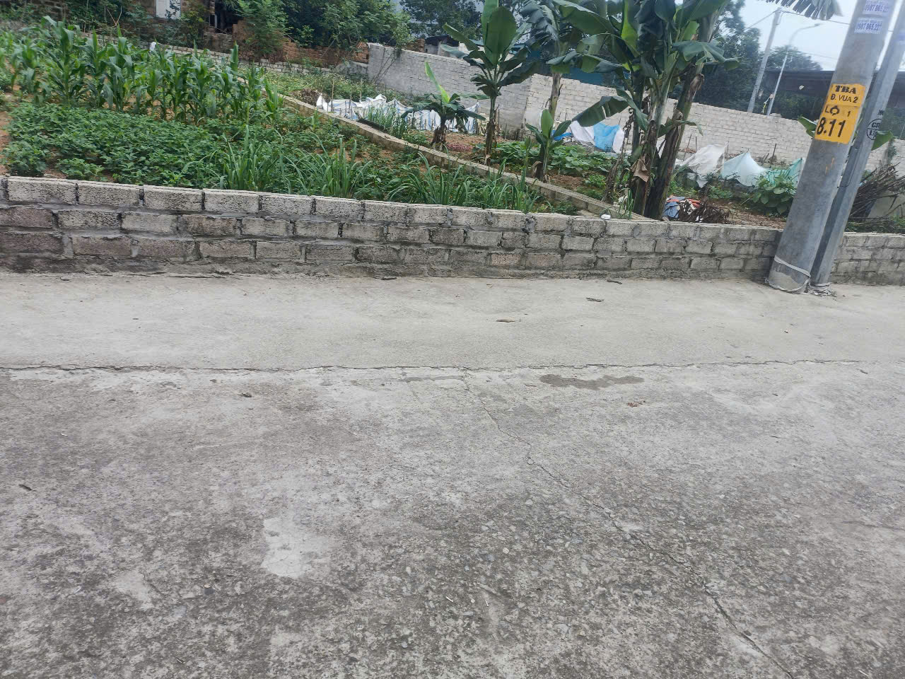 155M2 ĐẤT THỊ XÃ SƠN TÂY, GIÁ CHỈ VÀI TỶ - Ảnh 1