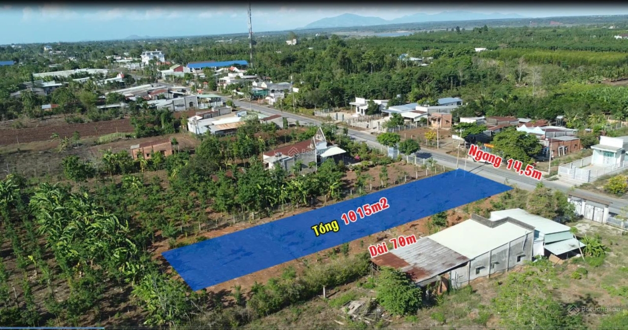 Đất đẹp giá tốt Đồng Nai TL765 Cẩm Mỹ, gần chợ, hướng Đông Nam mát mẻ quanh năm - Ảnh 2