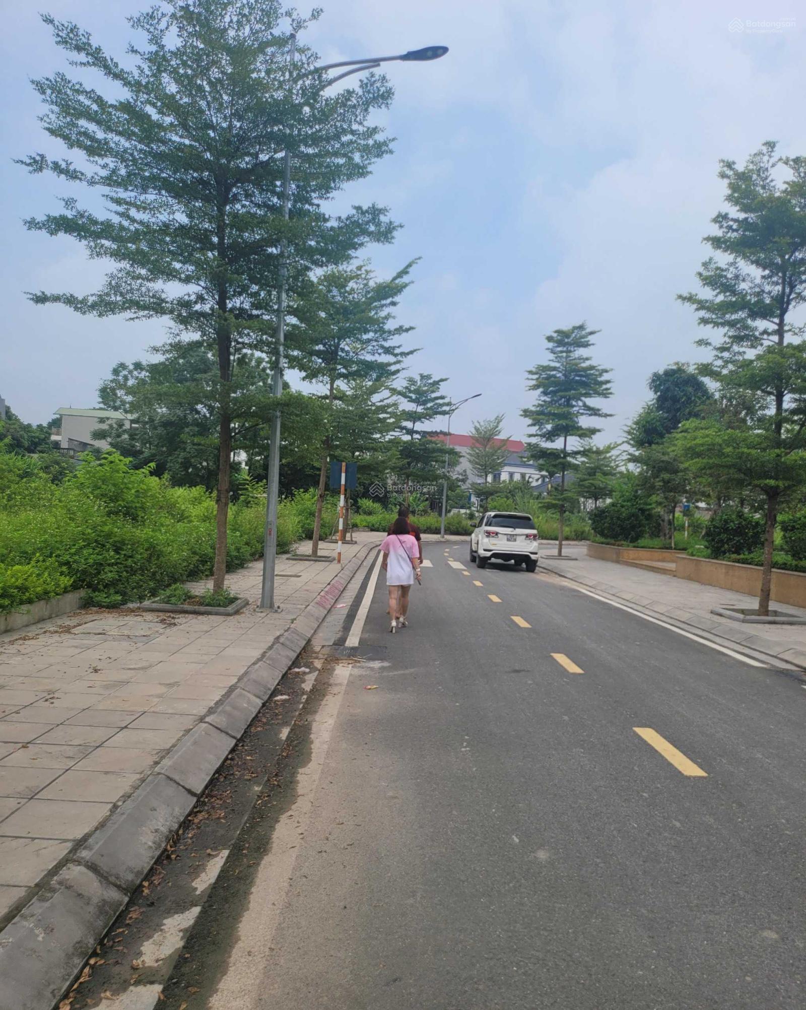 Đất nền diện tích 289m ngay trung tâm hành chính Lương Sơn. - Ảnh 2