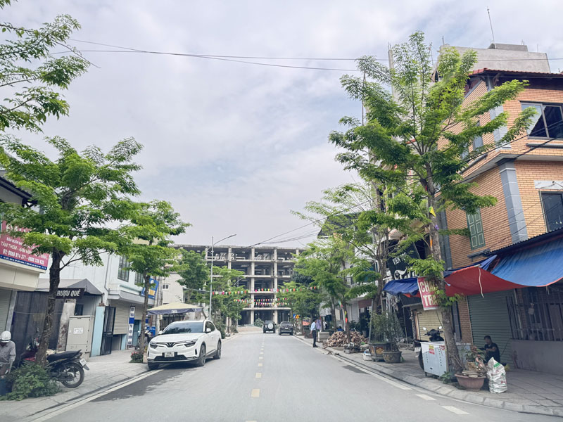 Bán nhà 1 tầng mặt phố Kiên Thành Kinh Doanh Đỉnh! 88,5m2 nở hậu, đường 17m, vỉa hè rộng - Ảnh 4