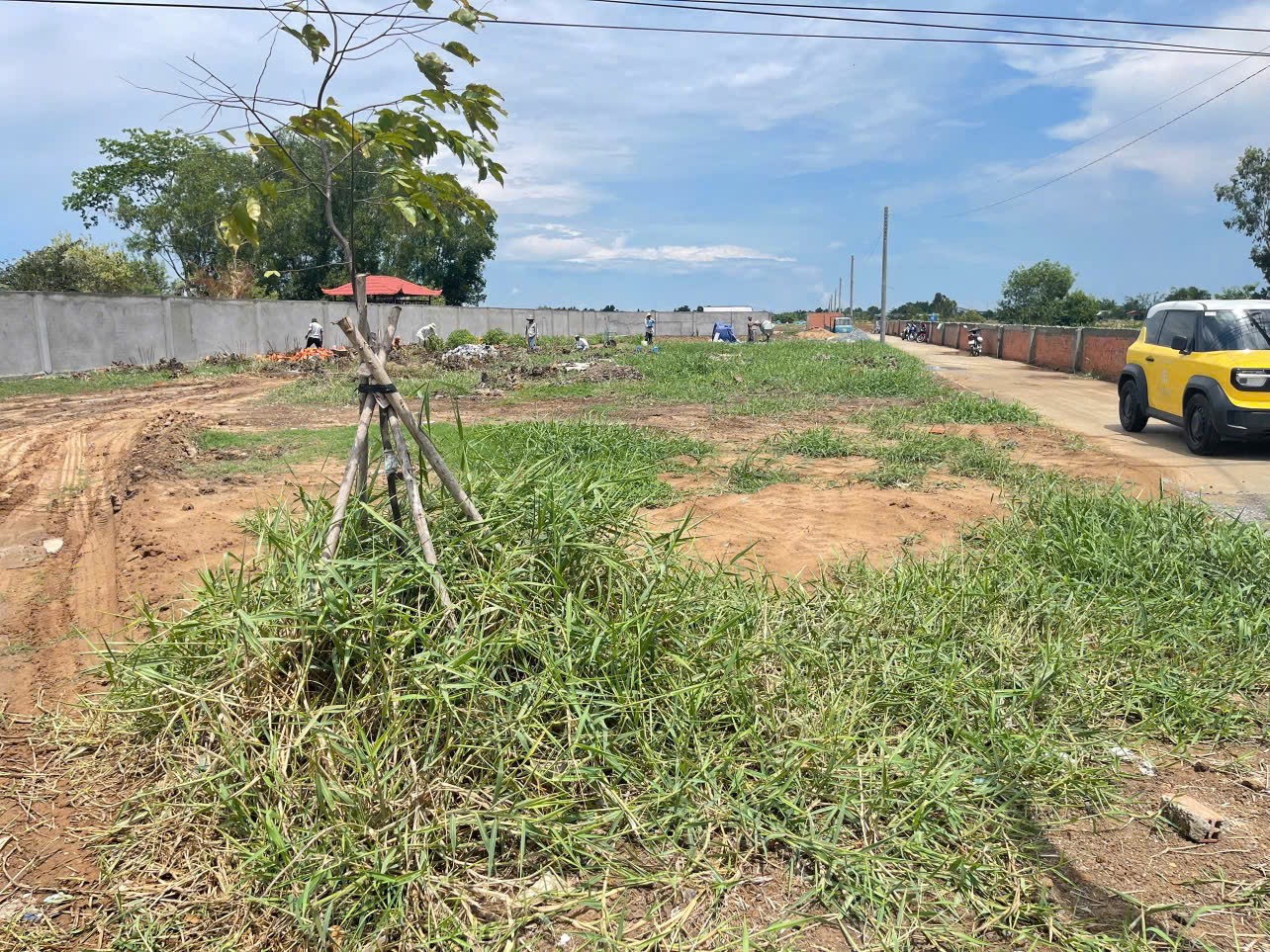 Bán đất MT QL50, 100m2 5x20m.Giá 700triệu. TP Gò Công.SHR sang sổ ngay - Ảnh 4