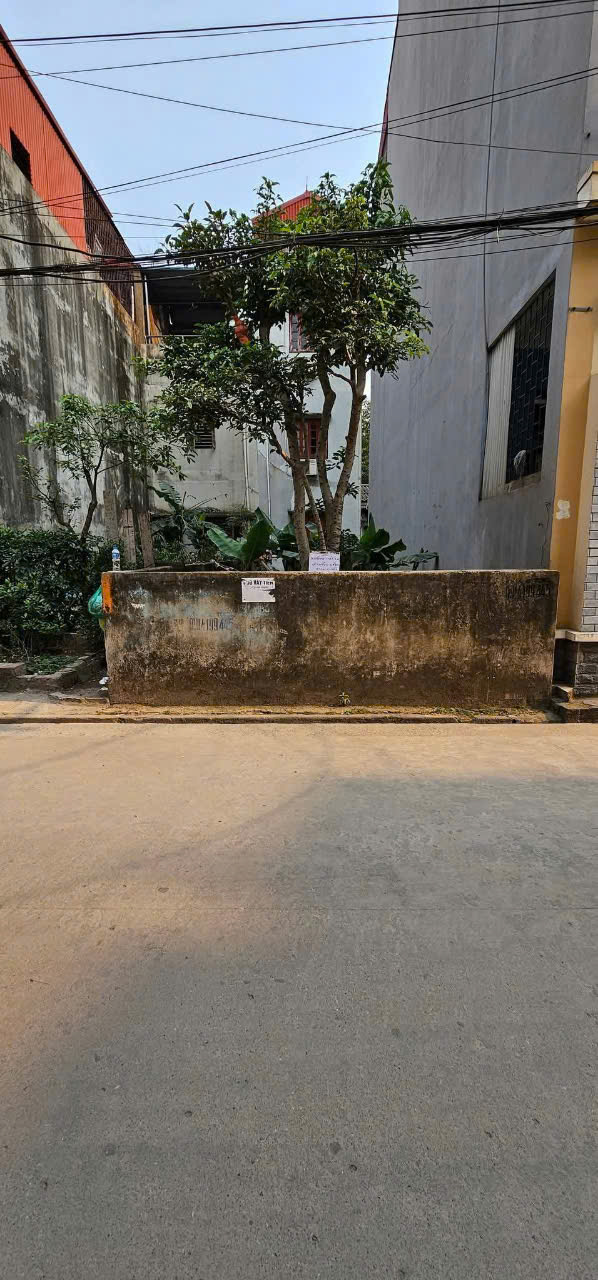 BÁN ĐẤT MẶT ĐƯỜNG ĐÔNG MỸ, THANH TRÌ - Ảnh 2